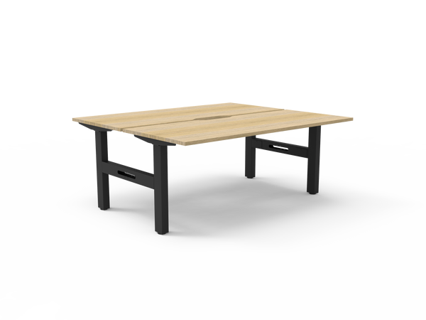 Boost Static Back to Back Workstation