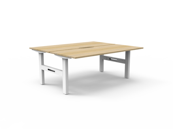 Boost Static Back to Back Workstation