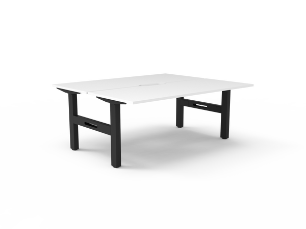 Boost Static Back to Back Workstation