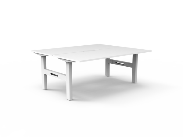 Boost Static Back to Back Workstation