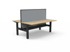 Boost Static Back to Back Workstation