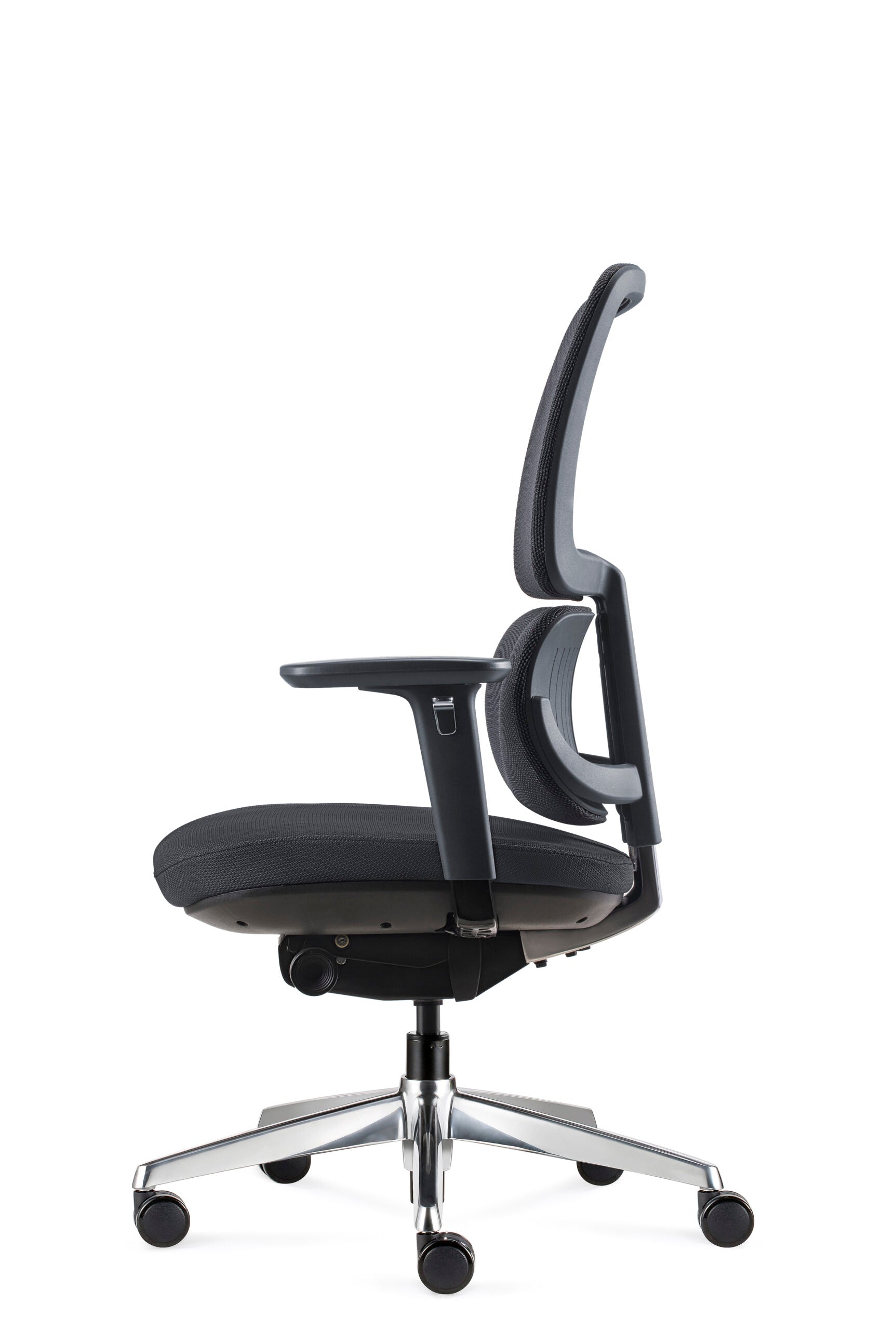 Orca Chair