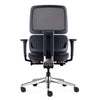 Orca Chair