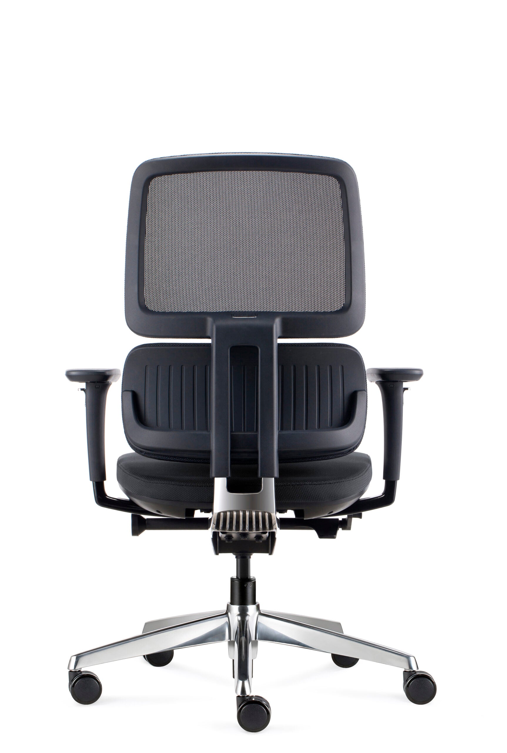 Orca Chair